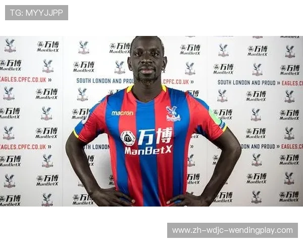 法国籍英超球员实力及影响力介绍